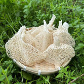 四川宜宾长宁特产长裙竹荪干货煲汤食材蜀南竹海小竹荪无硫100g