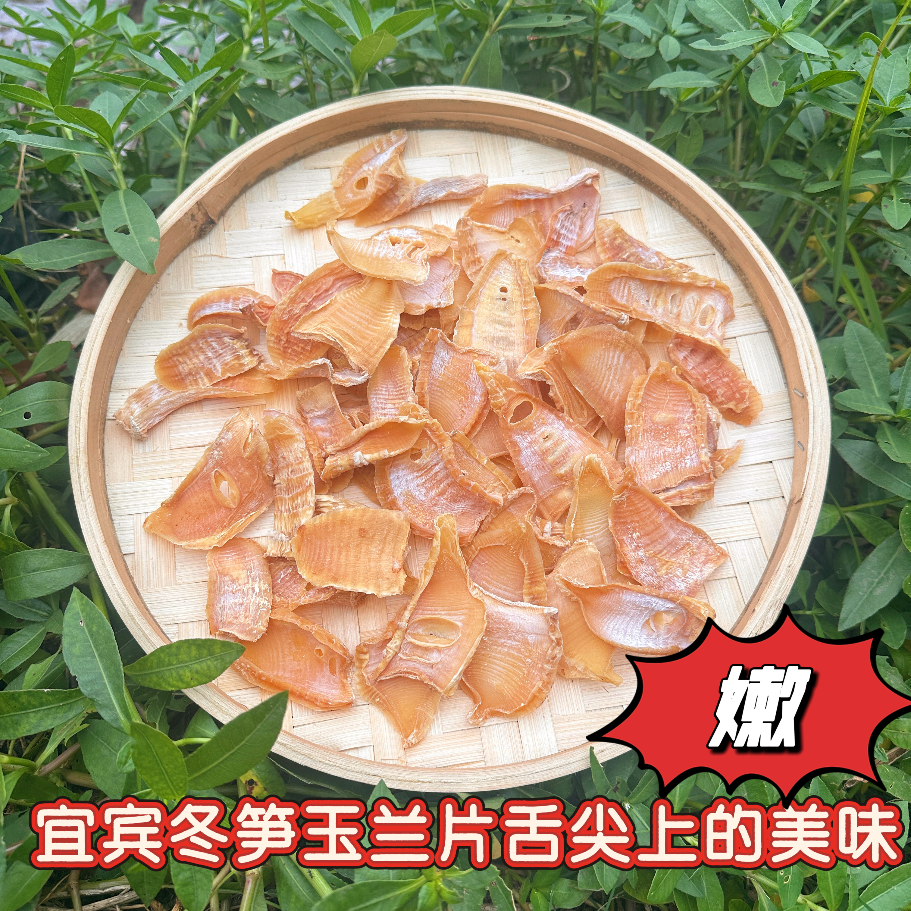 特嫩四川野生无硫冬笋片冬笋尖 宜宾蜀南竹海特产玉兰片