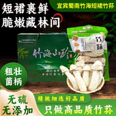 四川宜宾长宁特产短裙竹荪干货无硫煲汤食材蜀南竹海竹荪礼盒装