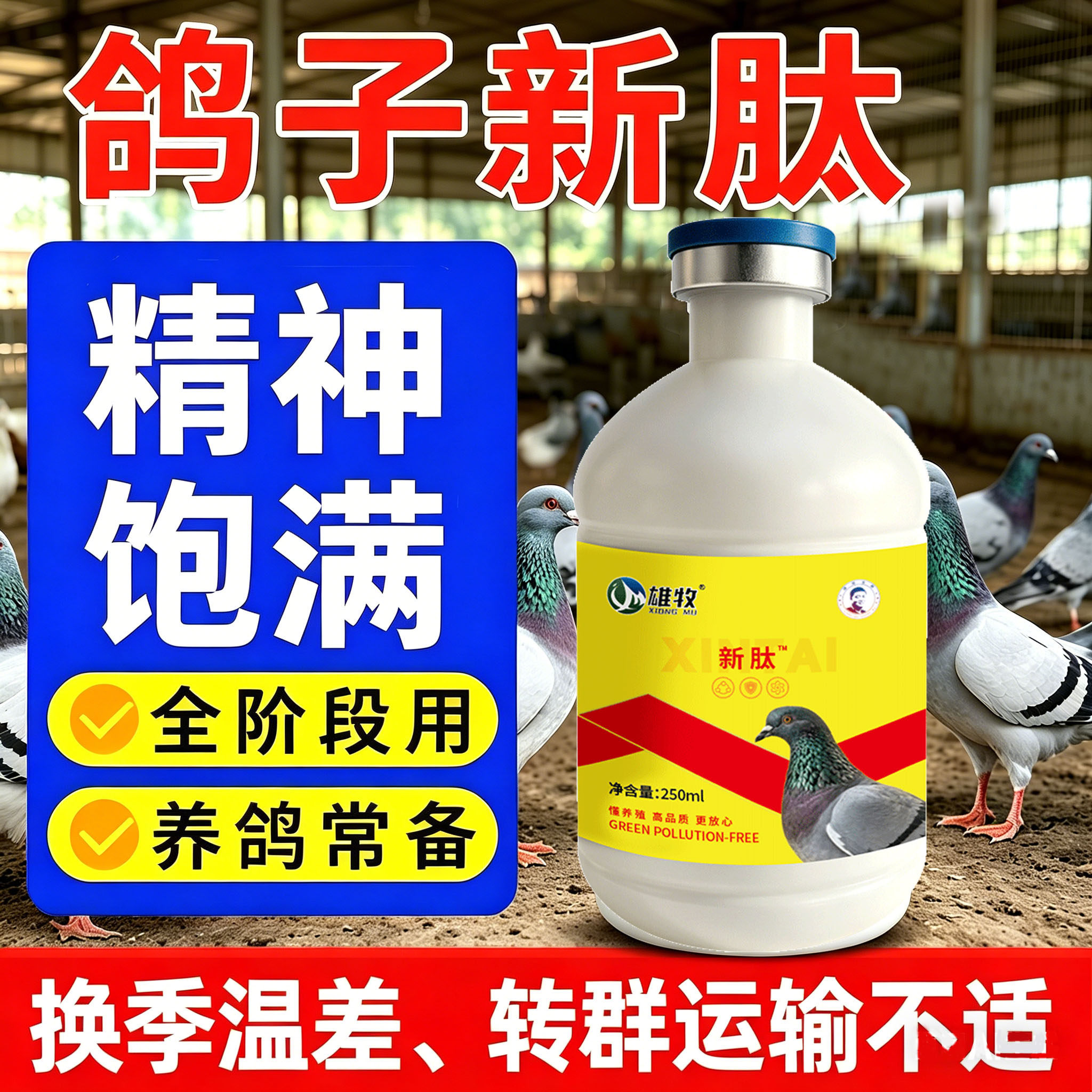 鸽子新肽赛鸽信鸽甩食肠道不适精神无力羽毛杂乱歪头歪脖转圈呼喘