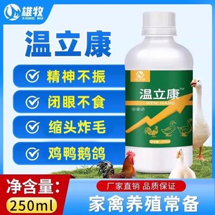 温立康养鸡专用温疫清鸡鸭鹅禽用鸡温闭眼不食呼鲁拉希绿便白便
