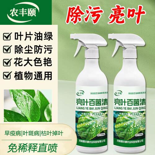 植物亮叶剂亮叶百菌清花卉除污剂叶面光亮剂叶斑黑斑绿植免稀释