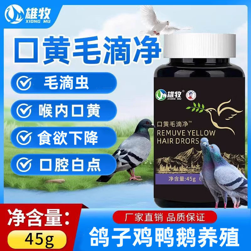 鸽用口黄毛滴净鸽子毛滴虫鸽子球虫斗鸡喉内白点口黄两日净饲料