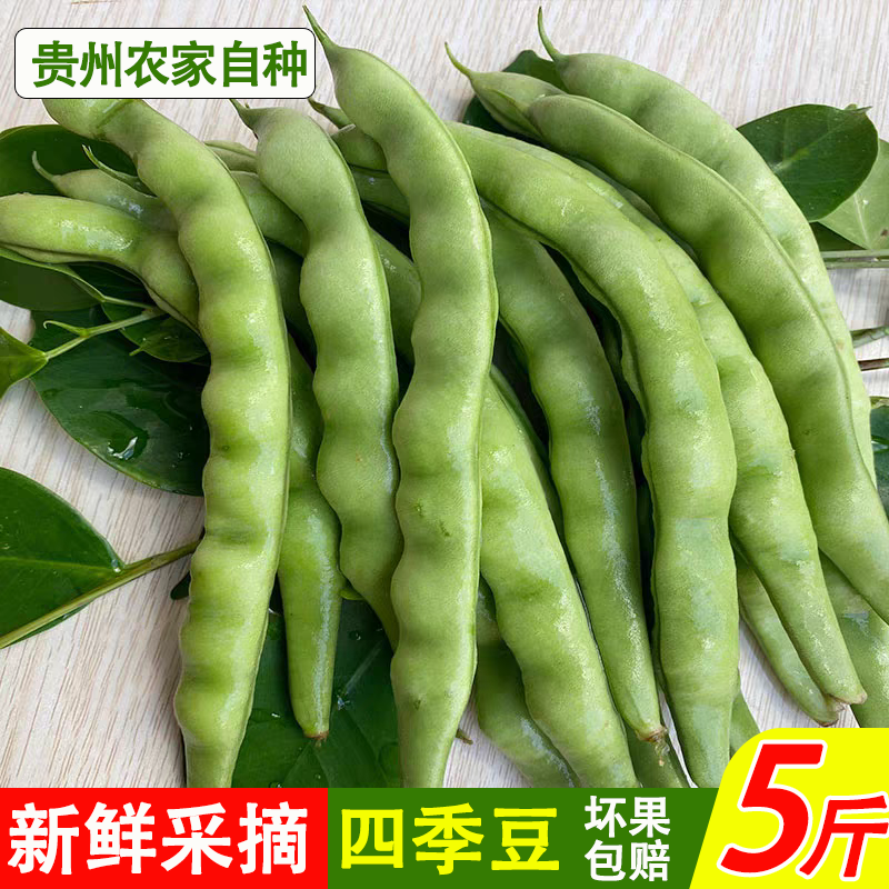 【现摘现发】四季豆贵州农家新鲜高山棒豆云南芸豆扁豆刀豆农家豆