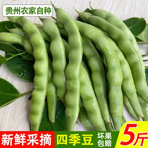 【现摘现发】四季豆贵州农家新鲜高山棒豆云南芸豆扁豆刀豆农家豆