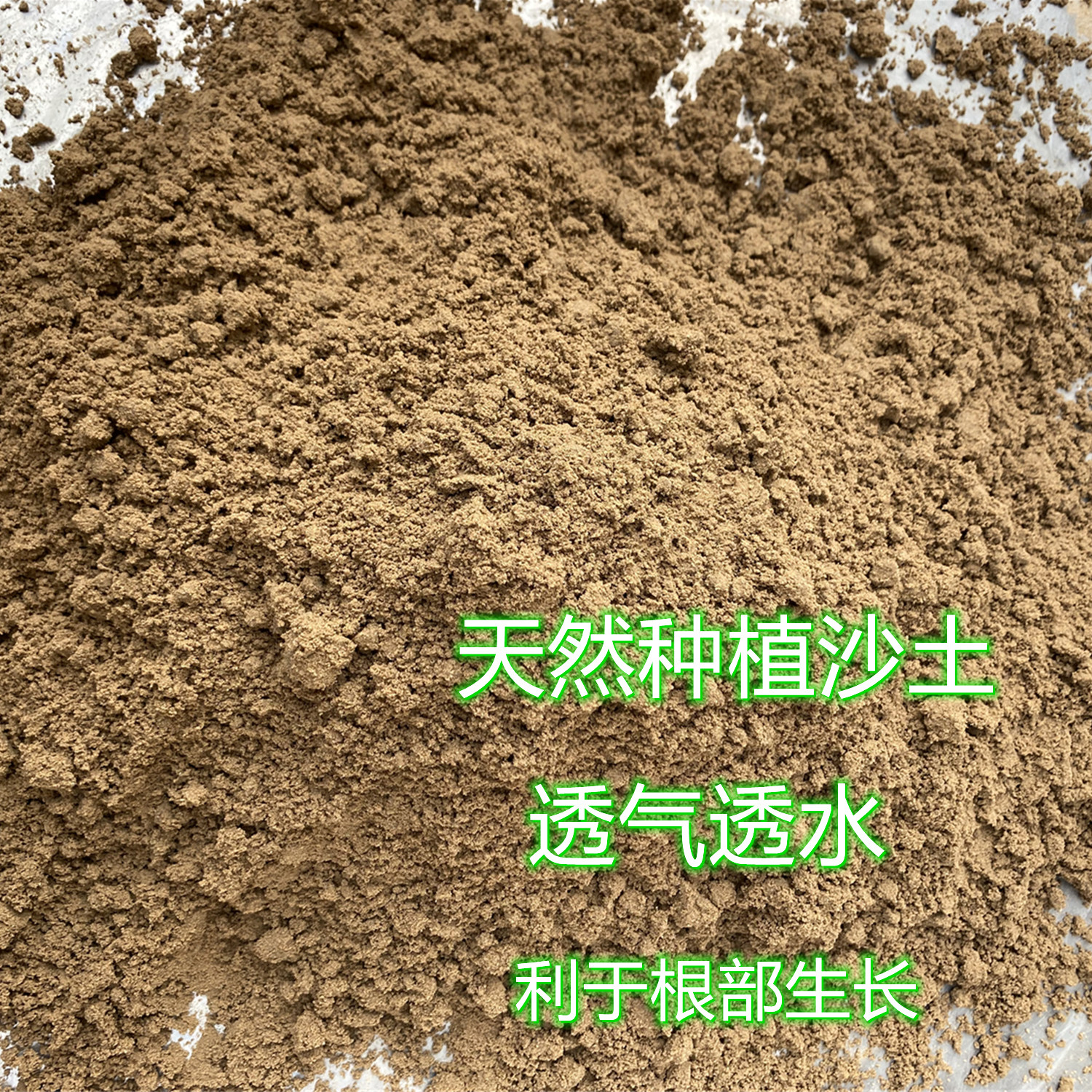 黄河天然沙土盆栽沙土营养土图片