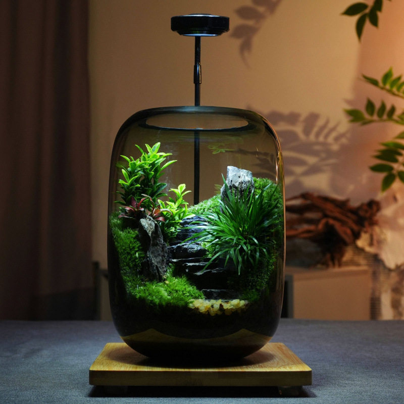 创意苔藓微景观步步高升摆件生态瓶办公室桌面生态缸绿植造景盆景
