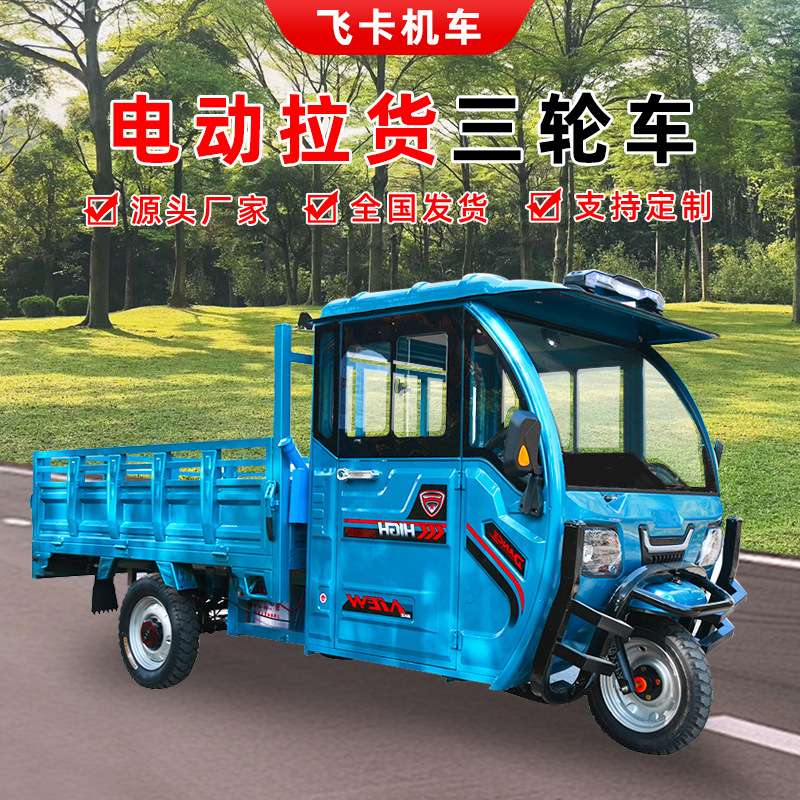 电动三轮车货车家用拉货载重