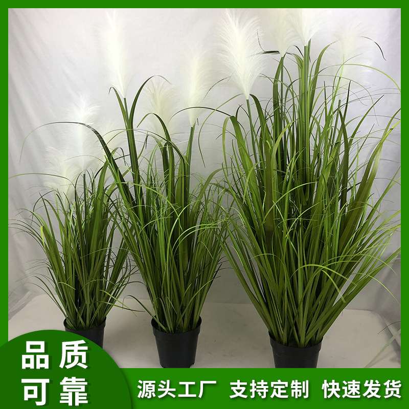 仿真盆景日系苗苗花艺家居植物客厅装饰盆景大型仿真植物仿真芦苇