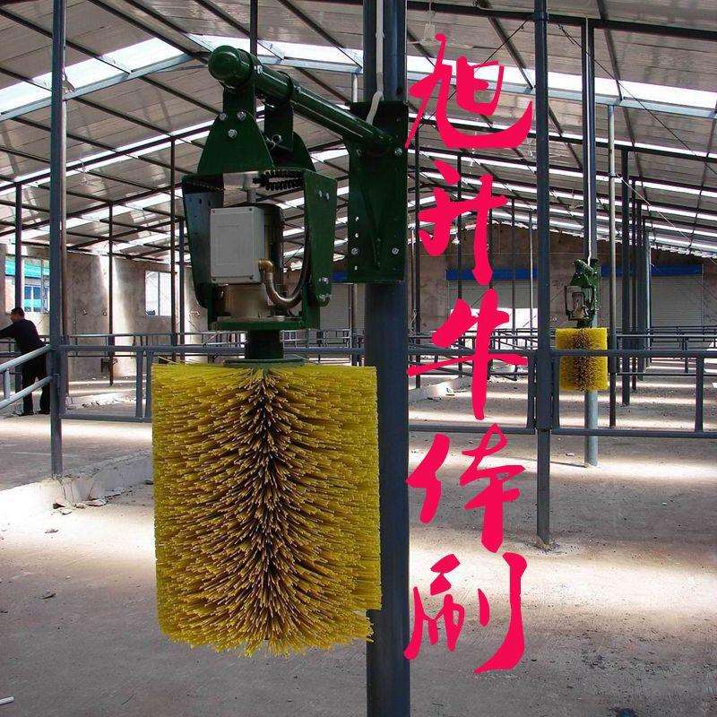 全自动摆动式牛体刷牛体按摩刷刺激奶牛血液循环增加产奶量毛刷