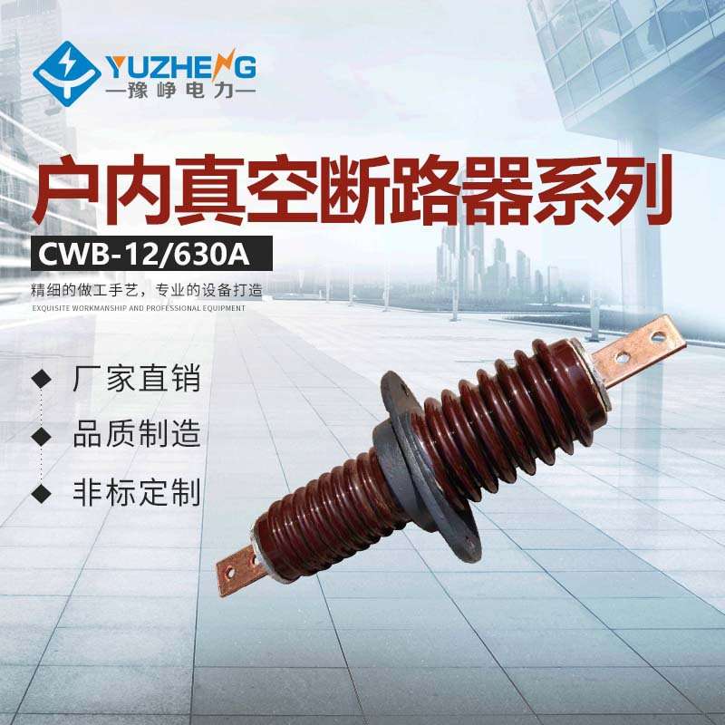 CB.CWB-10/630A户内外铜导体园铜棒穿墙套管绝缘防护高压