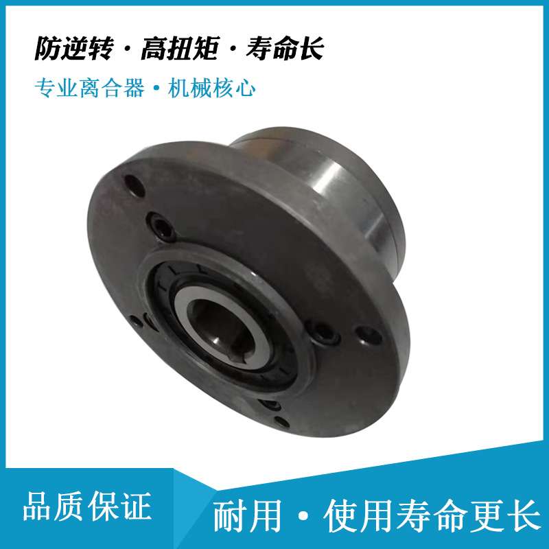 送料离合器AL100F2D2 星轮结构单向离合器用于石化机械