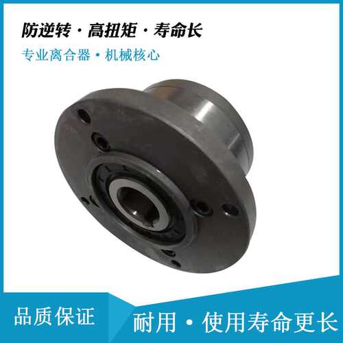 送料离合器AL100F2D2 星轮结构单向离合器用于石化机械