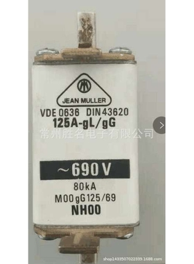 JEAN MULLER NH00 125A ~690V M00gG125/69 200A 250A 100A熔断器