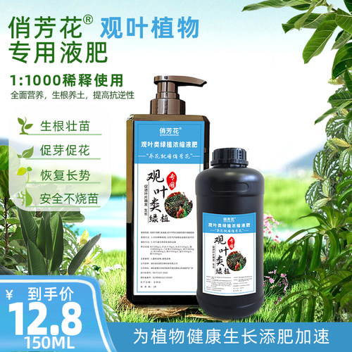 俏芳花速效浓缩液肥观叶植物热植