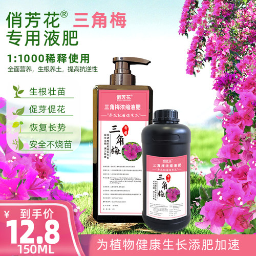俏芳花三角梅液肥平衡生长开花