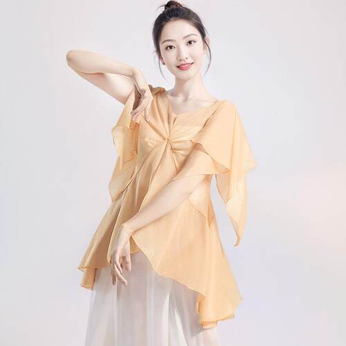 古典舞蹈风服女宽仙松气飘逸纱衣中国舞台服现代舞韵身练功服h124