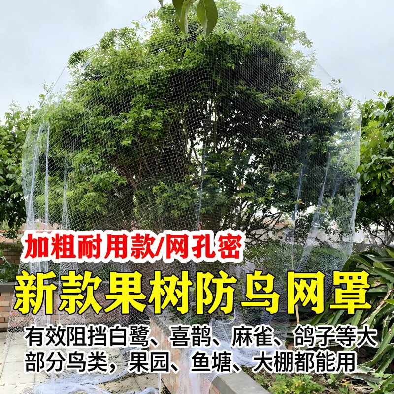全新料果树防鸟网农用防护网坚固耐用耐拉不断规格齐全