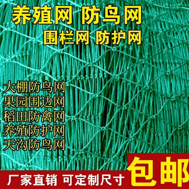 渔网加粗尼龙防鸟网大鹏果园果树防鸟网鱼塘养殖葡萄园防鸟天网