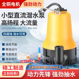 12V24V小型直流潜水泵家用船用电瓶水泵船舱微型抽水排水机抽水泵