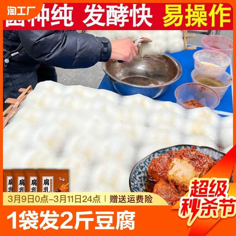 腐乳曲粉自制长毛臭豆腐霉豆腐毛豆腐发酵菌豆豉毛霉菌粉霉千张