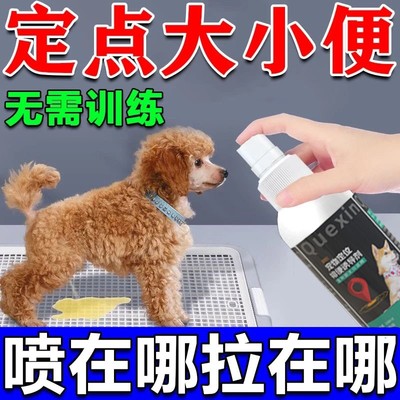 【终身不忘】狗狗定点排便神器上厕所诱导剂狗大小便尿垫定点训练