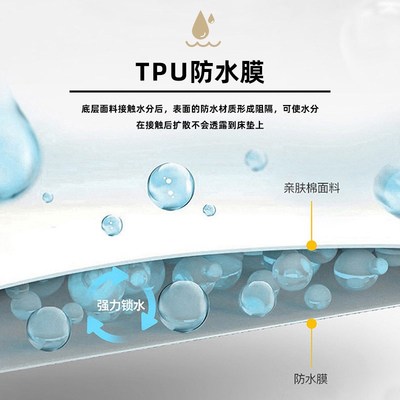 2024新款a类夹棉床笠单件床罩榻榻米床褥垫席梦思保护套床垫防水