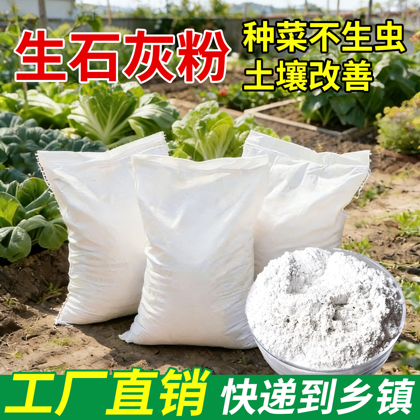 生石灰粉种菜鱼塘家禽消毒室内除湿皮蛋变蛋驱蛇虫树木涂白石灰粉