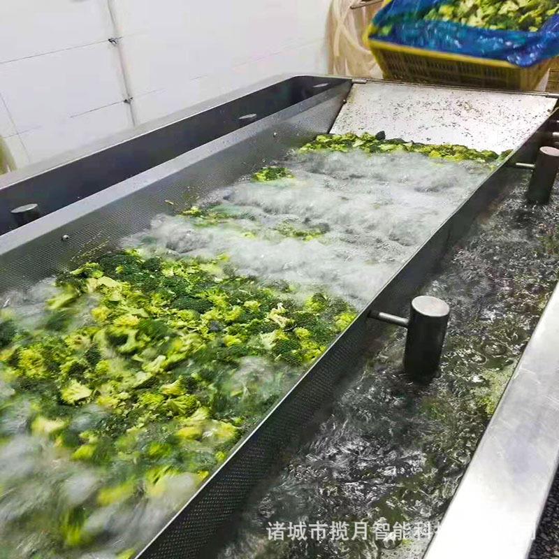 莴笋海鲜商用果蔬清洗机 白菜气泡果蔬清洗机 鲜蒜芹菜翻浪清洗机