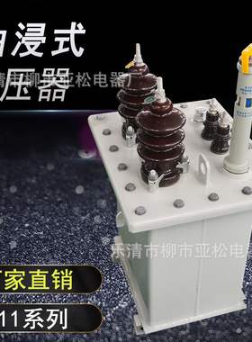 供应D11-25KVA 13.2/0.24单相方形油浸变压器 出口型电力变压器