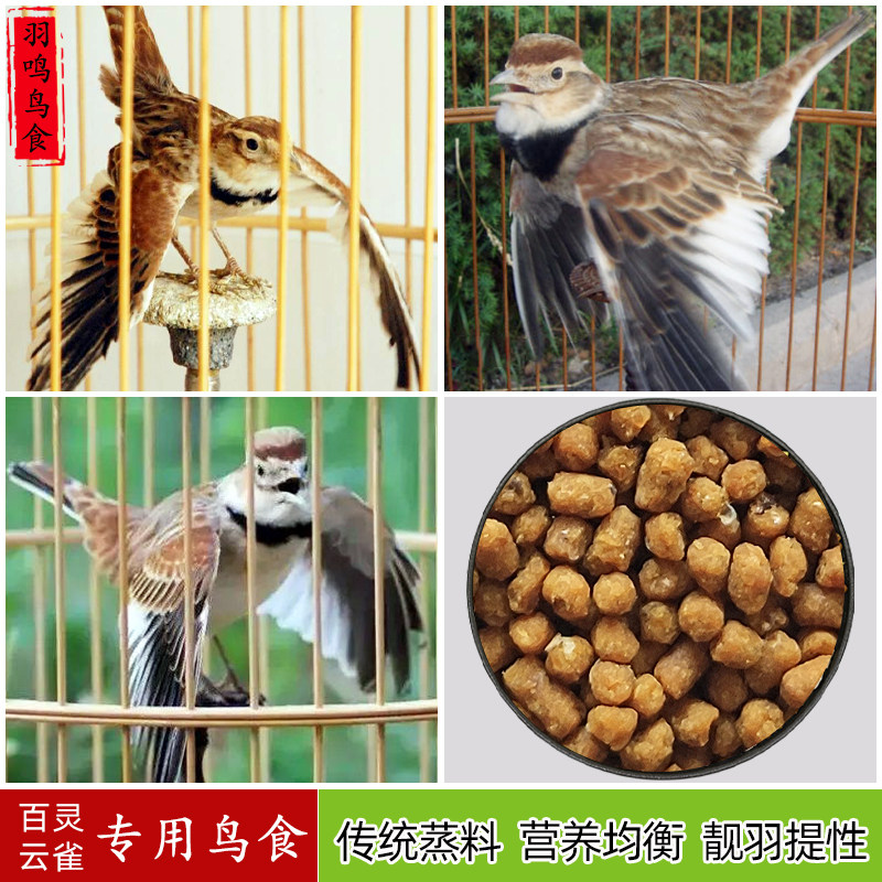 百灵云雀专用鸟食饲料 凤头小沙百灵鸟食鸟粮 靓羽 提性 不起尖