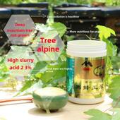 东北黑蜂树天农场生产浆 纯野生然MHF蜂王5椴00g