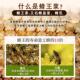 中国蜂农科院华鲜蜜KVK蜂研究所兴王浆蜂皇乳新王浆罐装 纯正蜂皇