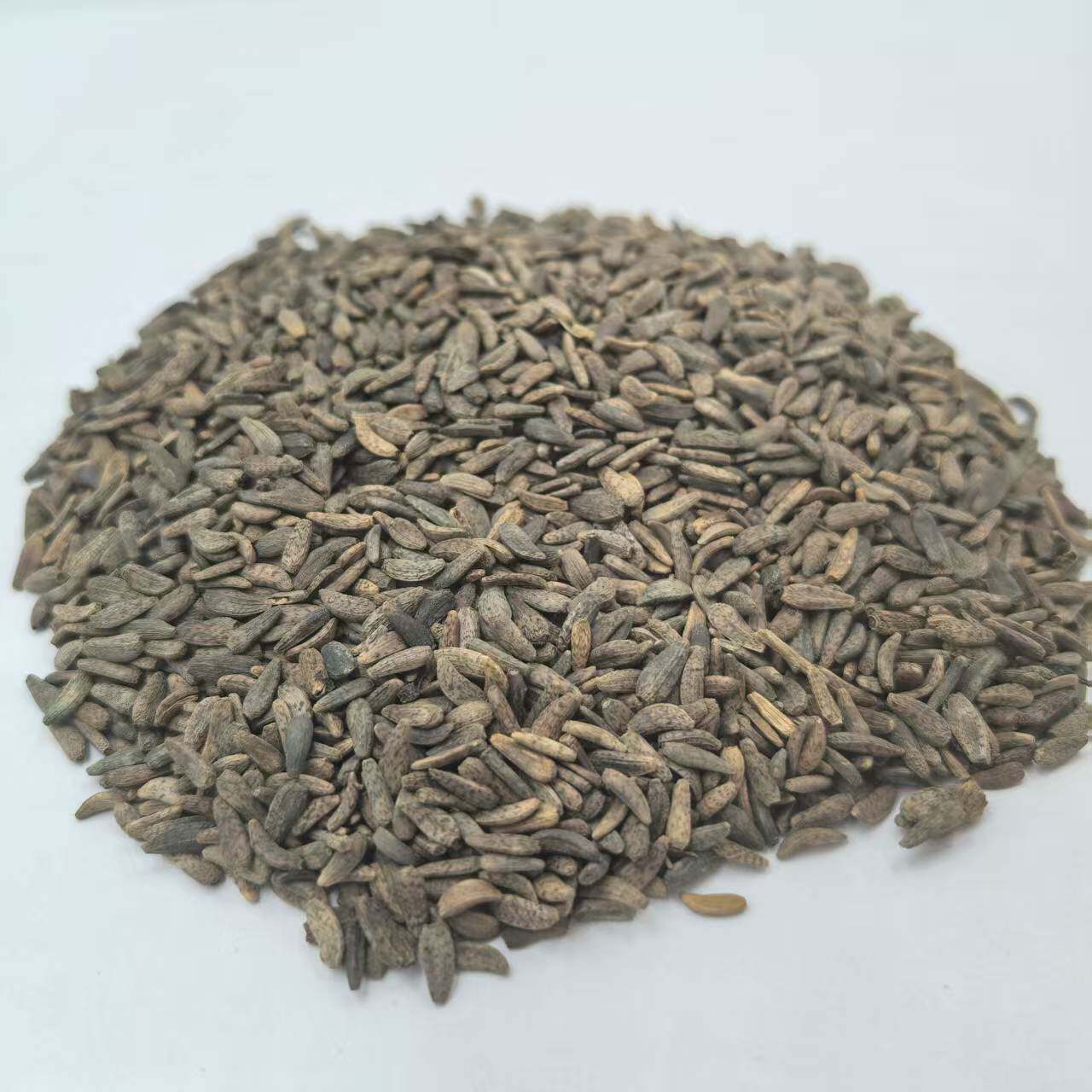 牛蒡子 牛子 牛蒡苷茶种子 材 1000g起
