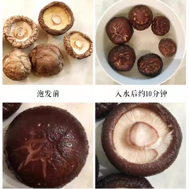 【净重无干燥剂】香菇肉厚无根干香菇冬菇煲汤肉厚西峡香菇