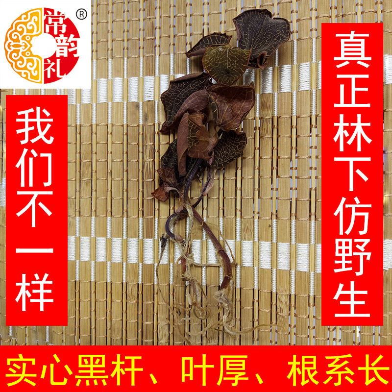 果福得福建金线莲产地厂家大量仿野生净50克金线莲养生茶礼盒