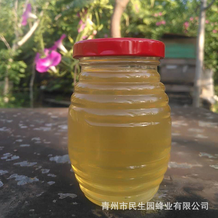 蜂农自产槐花蜜250g瓶装蜂蜜 瓶装槐花蜂蜜 农家自产