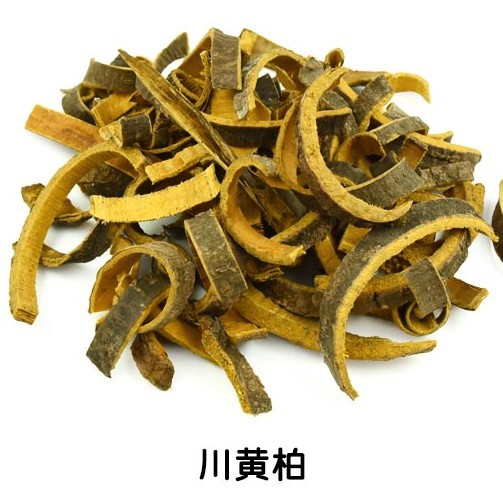 黄柏 黄柏木 川黄柏 关黄柏 1000g克 中药材批发