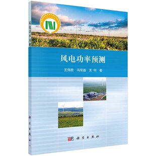 正版风电功率预测书籍