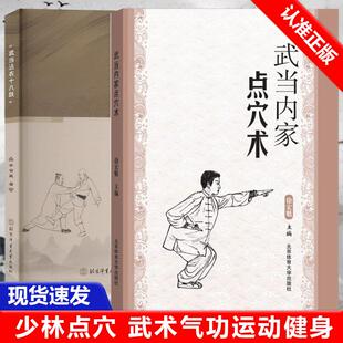 武当沾衣十八跌点穴书籍点穴绝技武功秘籍真书点穴与解穴古书内功心法少林点穴气功少林武术气功书籍 全2册武当内家点穴术 书