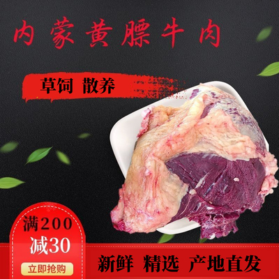 西沁原内蒙黄膘牛肉草地散养新鲜