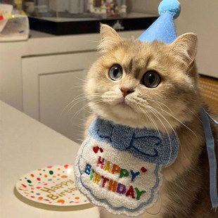 宠物生日帽围兜一套狗狗生日派对装扮套装可爱猫咪口水巾围嘴装饰