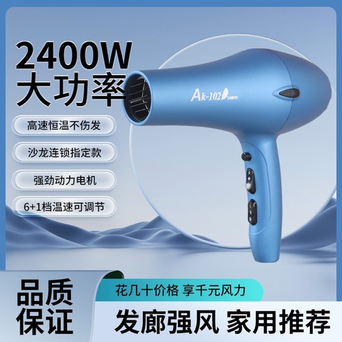 AK-102风大师发廊专用专业吹风机