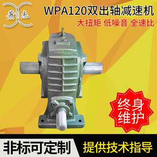 WPA120#双出轴减速机 大型减速器 涡轮减速器