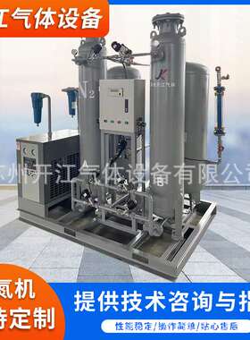 5-100立方每小时纯度99.99%苏州psa变压吸附制氮机组碳分子筛厂家
