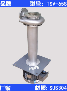 厂家 5HP不锈钢循环立式液下泵TSV-SUS65-5 20165B泵头 DN65