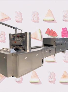 SE-7138A-150水果小熊软糖全自动生产线 糖果机 软糖浇注成型机