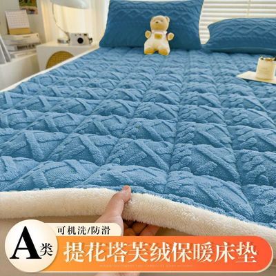 2025新款水洗牛奶绒加绒床垫床褥保暖冬被盖塔芙蓉褥子两用