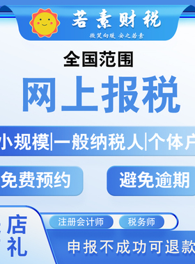 网上报税代理记账一般纳税人小规模零0申报税务申报远程汇算清缴
