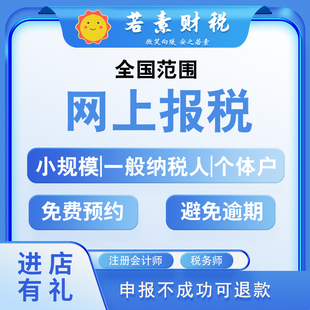 网上报税代理记账一般纳税人小规模零0申报税务申报远程汇算清缴